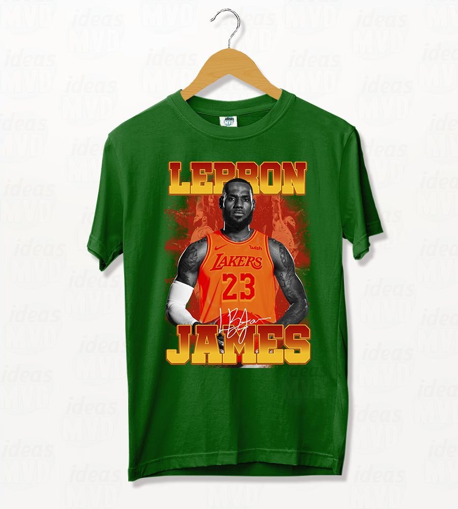 Remera NBA Lebron James (Colores)